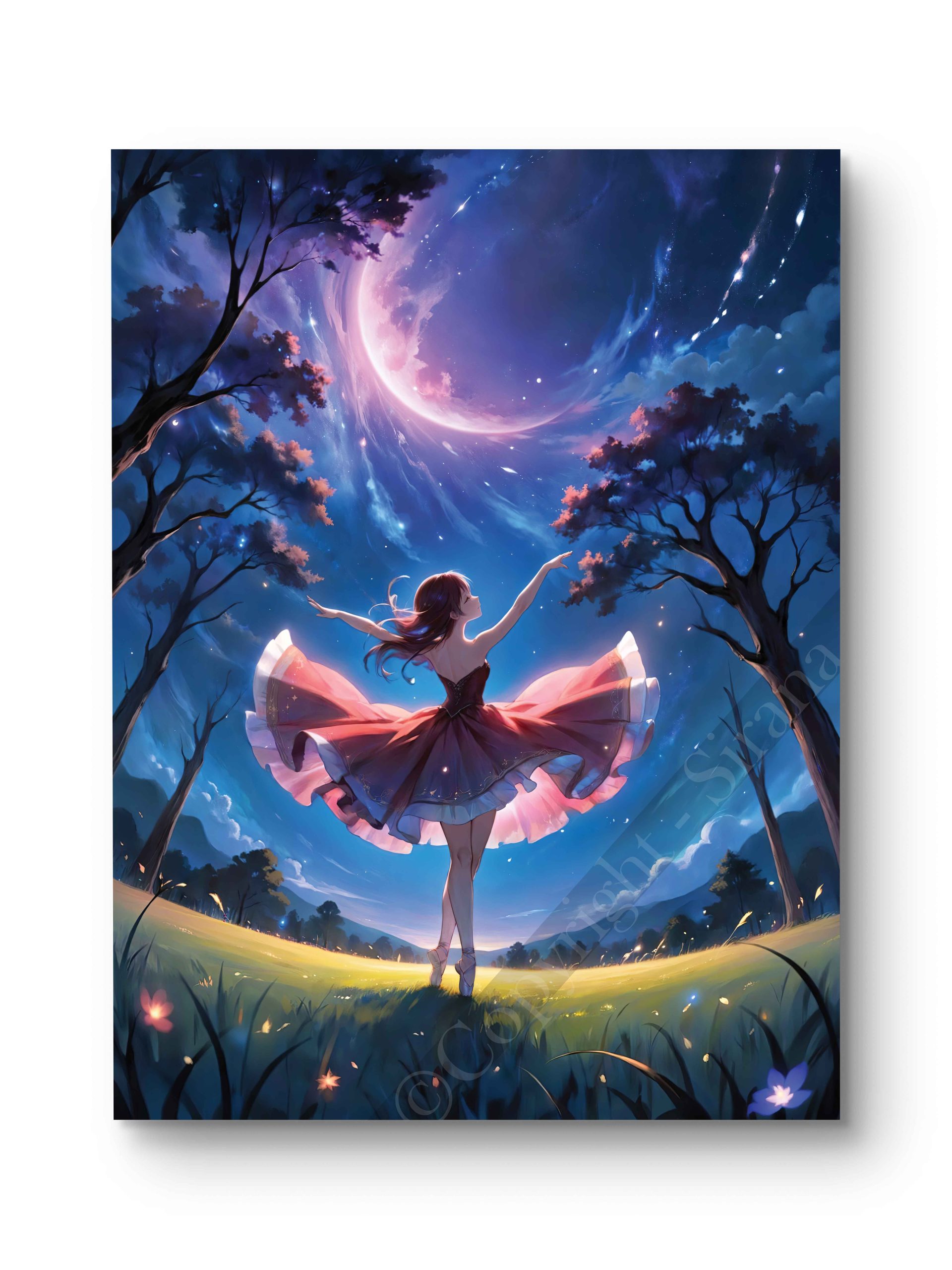 Tableau Anime - Ballerine des Étoiles