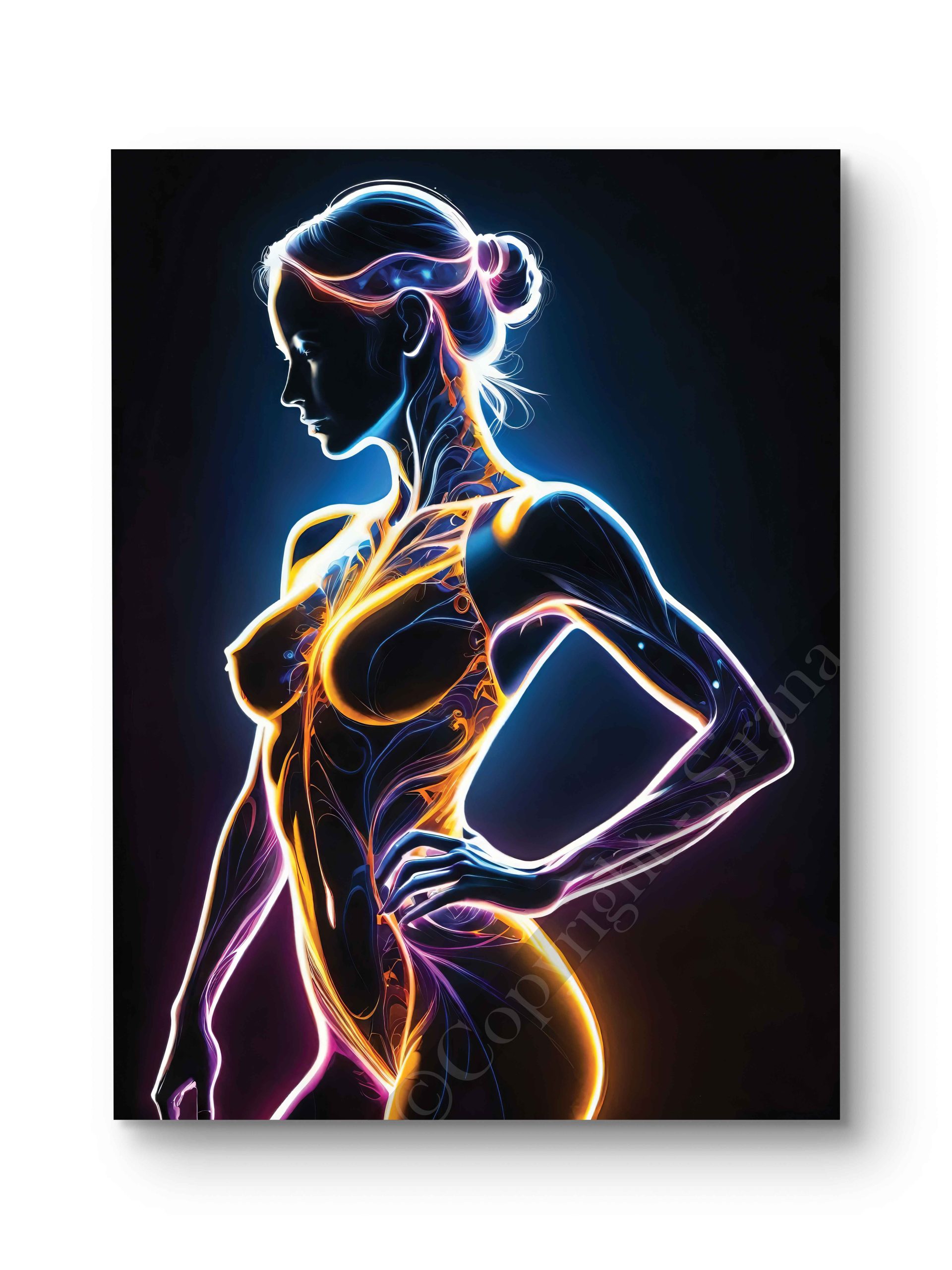 Tableau Silhouette Lumineuse