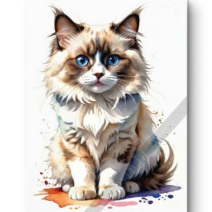 Tableau Ragdoll